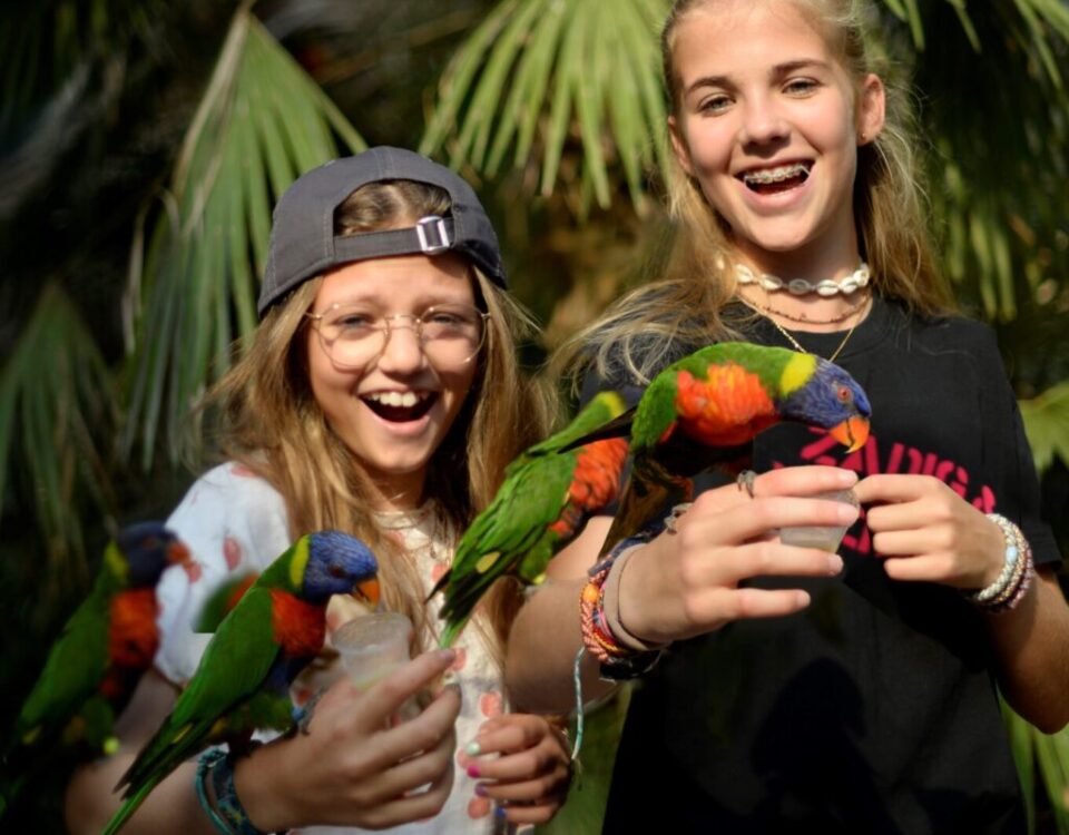 doorenpien-scaled-e1678956559582-1024x1024